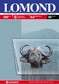 Пленка Lomond A4, 50л. для ч/б копиров 2-х сторонняя (0701415)