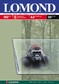 Пленка Lomond А4, 10л. для цветного струйного принтера (0708411)