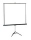 Экран Projecta ProView 127x127см MW на штативе 1:1