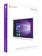 Програмное обеспечение Microsoft Windows 10 Professional 32/64 bit Rus Only USB (FQC-09118)