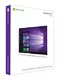 Програмное обеспечение Microsoft Windows 10 Professional 32/64 bit Rus Only USB (FQC-09118)