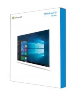 Операционная система Microsoft Windows 10 Home 32/64 bit Rus Only USB