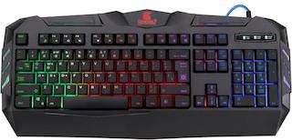 Клавиатура DEFENDER USB WEREWOLF GK-120DL RU 45120