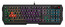 Клавиатура A4 Bloody B135N черный USB Multimedia for gamer LED
