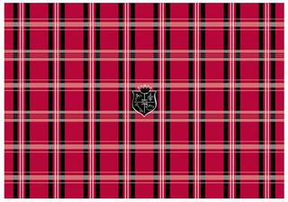 Наклейка для ноутбука 13-17" G-Cube GSP-19R, красная, рисунок "Mad