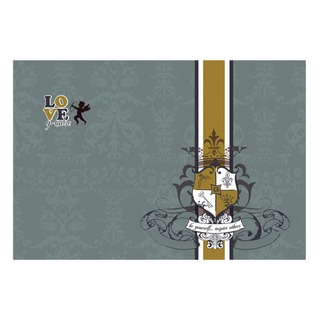 Наклейка для ноутбука 13-17" G-Cube GSR-17RR, серо-голубая, рисунок