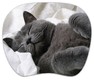 Коврик для мышки PC PET MP-TOM TURBO (Grey cat)