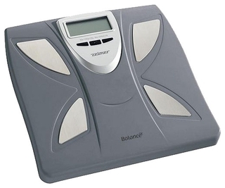 Весы ZELMER 34Z011 серые