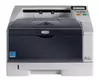 Принтер Kyocera лазерный FS-1370DN A4 35 стр 128 Мб USB 2.0 дуплекс сеть (1102L03NL0)