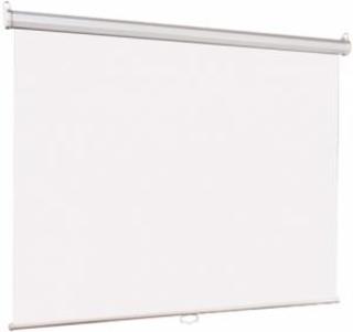 Настенный экран Lumien Eco Picture 180х180 см Matte White (LEP-100102)