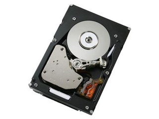 Жесткий диск IBM ExpSell 146GB 2.5" SAS Slim-HS 15K 6Gbps blade HS12/HS22 (42D0677-SS 44W2201)