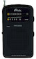 Радиоприемник Ritmix RPR2060 Черный
