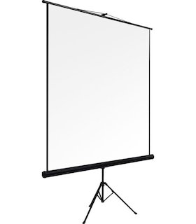 Экран DINON Tripod 180x240 MW на штативе