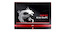 Моноблок MSI AIO AG240 2PE-049RU AIO 23.6" 1920x1080 i7 4700HQ/8Gb/1Tb/SSD128Gb/GTX860M 2Gb/DVDRW/Windows 8.1/WiFi/клавиатура/мышь/Cam/черный/красный