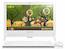 Моноблок Lenovo c20-30 19.5" Full HD i3 5005U/4Gb/1Tb/DVDRW/Free DOS/WiFi/клавиатура/мышь/Cam/черный 1920x1080