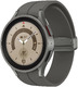 Смарт-часы Samsung Galaxy Watch 5 Pro 45мм Grey  (SM-R920) EU