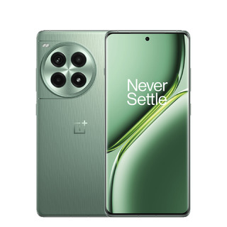 Смартфон OnePlus Ace 3 Pro 5G 24/1Tb PJX110 Green