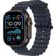 Смарт-Часы Apple Watch Ultra 2 49 мм Titanium Case, Titanium Milanese Loop Black M/M
