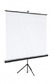 Экран настенный Digis Optimal-B DSOB-4303  MW 200x150 (4:3)
