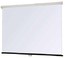 Настенный экран Lumien Master Picture 128х171 см Matte White FiberGlass (LMP-100108)