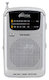 Радиоприемник Ritmix RPR2060 Серебристый